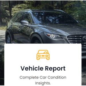 Vehicle Report Instant Elite Plan
